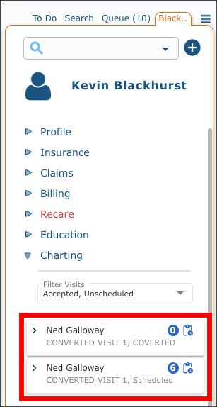 charting visits.png