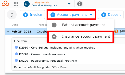Insurance account payment