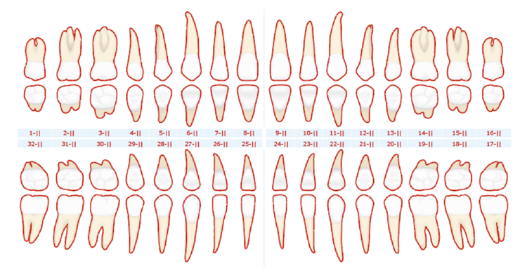 Extracted Planning