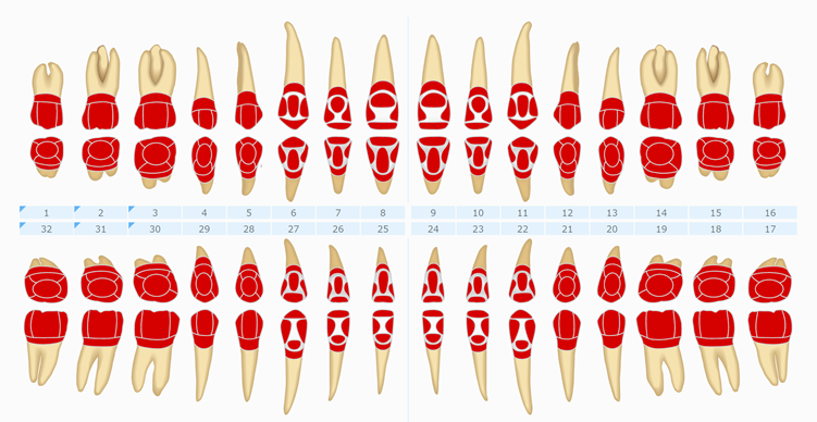 Surface Labels